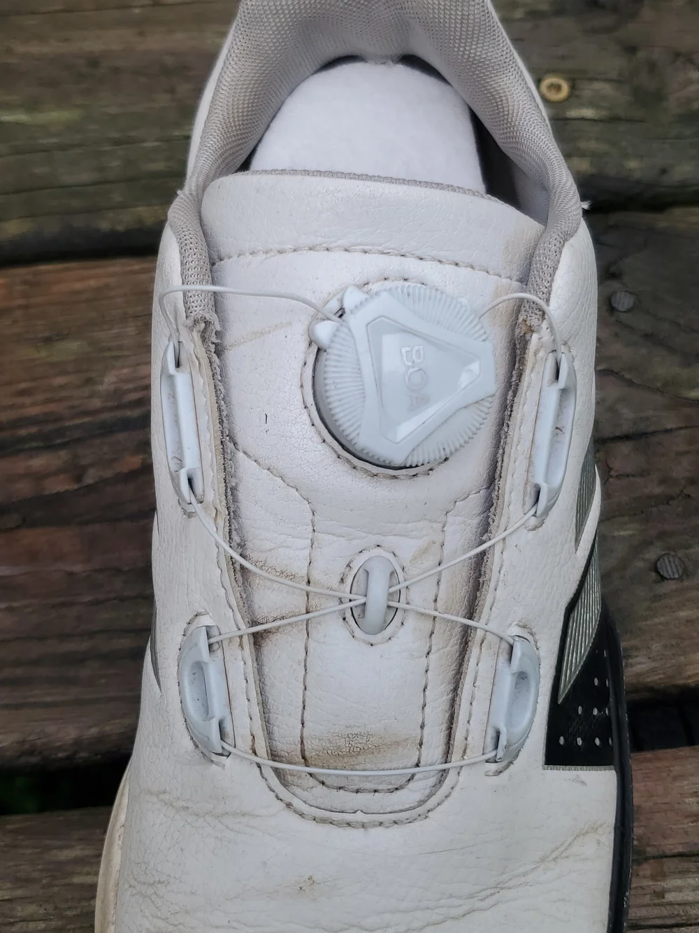 adidas White and Black Men's Golf  Cleats with Boa Closure